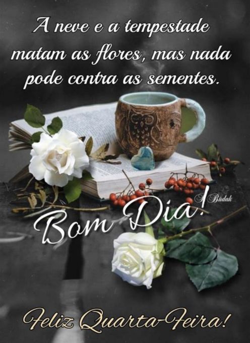 Meu ZapZap - Imagens Bom dia quarta-feira - Saudações para Whatsapp e Facebook Meu ZapZap - Imagens Bom dia quarta-feira - Saudações para Whatsapp e Facebook