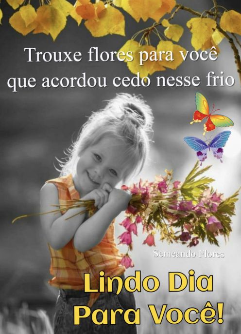 Meu ZapZap - Imagens Bom dia quarta-feira com flores - Saudações para Whatsapp e Facebook Meu ZapZap - Imagens Bom dia quarta-feira com flores - Saudações para Whatsapp e Facebook