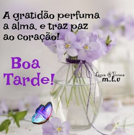 Meu ZapZap - Imagens Boa tarde - Saudações para Whatsapp e Facebook Meu ZapZap - Imagens Boa tarde - Saudações para Whatsapp e Facebook