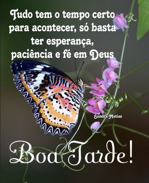 Meu ZapZap - Imagens Boa tarde domingo com esperança - Saudações para Whatsapp e Facebook Meu ZapZap - Imagens Boa tarde domingo com esperança - Saudações para Whatsapp e Facebook
