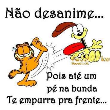 Meu ZapZap - Imagens Não desanime - Engraçadas para Whatsapp e Facebook
