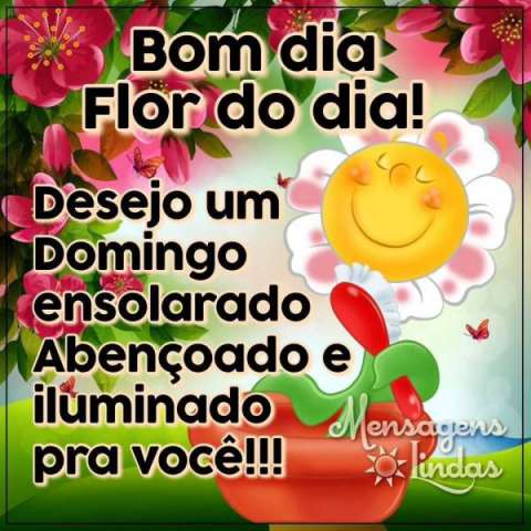 Meu ZapZap - Imagens Bom dia - Saudações para Whatsapp e Facebook Meu ZapZap - Imagens Bom dia - Saudações para Whatsapp e Facebook