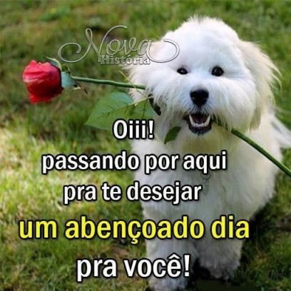 Meu ZapZap - Imagens Bom dia - Saudações para Whatsapp e Facebook Meu ZapZap - Imagens Bom dia - Saudações para Whatsapp e Facebook