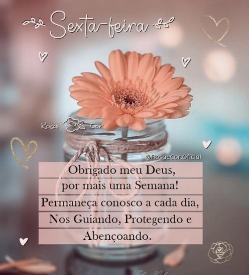 Meu ZapZap - Imagens Boa tarde sexta-feira - Saudações para Whatsapp e Facebook Meu ZapZap - Imagens Boa tarde sexta-feira - Saudações para Whatsapp e Facebook