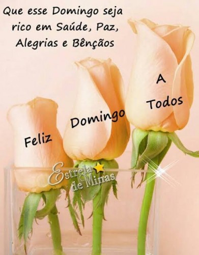 Meu ZapZap - Imagens Bom dia - Saudações para Whatsapp e Facebook Meu ZapZap - Imagens Bom dia - Saudações para Whatsapp e Facebook