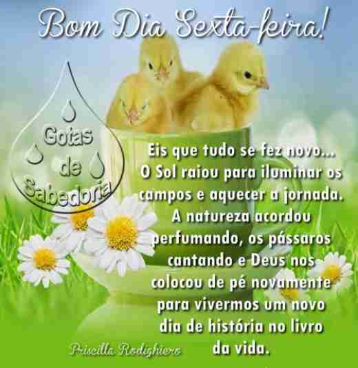 Meu ZapZap - Imagens Bom dia - Saudações para Whatsapp e Facebook Meu ZapZap - Imagens Bom dia - Saudações para Whatsapp e Facebook
