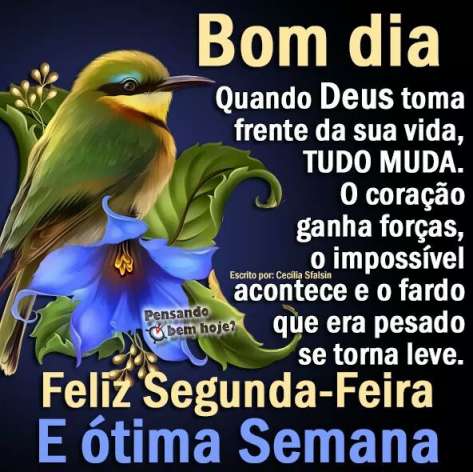Meu ZapZap - Imagens Bom dia Segunda-feira - Saudações para Whatsapp e Facebook Meu ZapZap - Imagens Bom dia Segunda-feira - Saudações para Whatsapp e Facebook