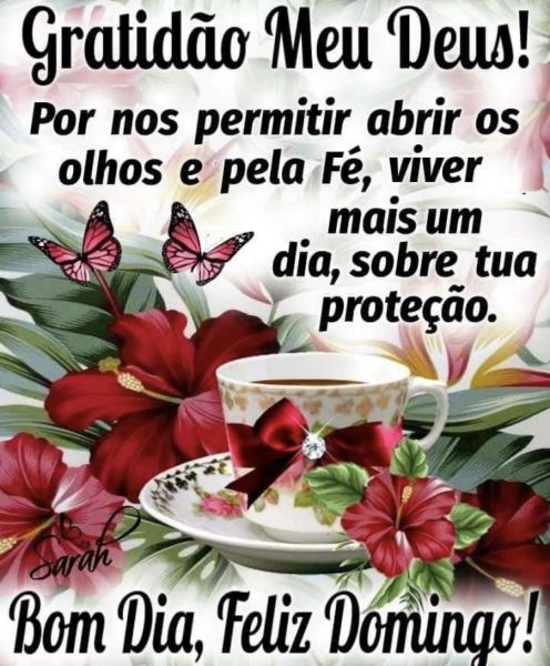 Meu ZapZap - Imagens Bom dia domingo com gratidão - Saudações para Whatsapp e Facebook Meu ZapZap - Imagens Bom dia domingo com gratidão - Saudações para Whatsapp e Facebook
