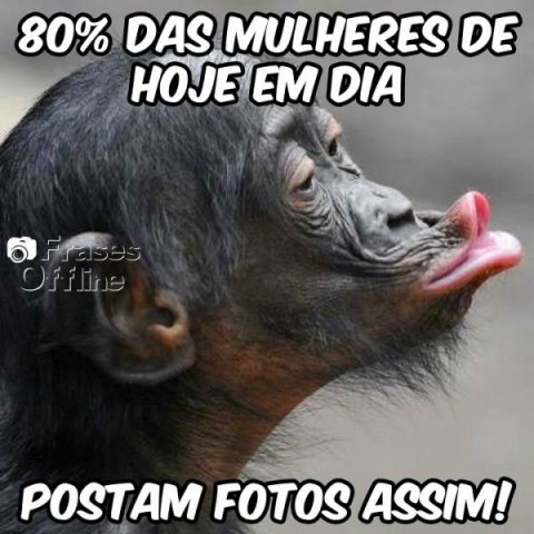 Meu ZapZap - Imagens Verdade - Engraçadas para Whatsapp e Facebook Meu ZapZap - Imagens Verdade - Engraçadas para Whatsapp e Facebook