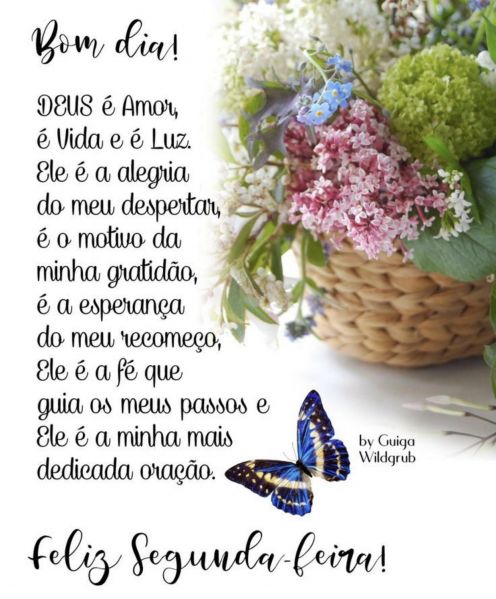 Meu ZapZap - Imagens Bom dia segunda-feira - Saudações para Whatsapp e Facebook Meu ZapZap - Imagens Bom dia segunda-feira - Saudações para Whatsapp e Facebook