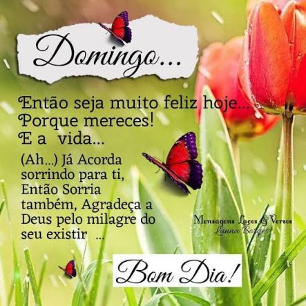 Meu ZapZap - Imagens Bom dia Domingo - Saudações para Whatsapp e Facebook Meu ZapZap - Imagens Bom dia Domingo - Saudações para Whatsapp e Facebook