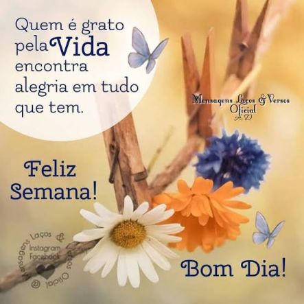 Meu ZapZap - Imagens Bom dia segunda-feira com gratidão - Saudações para Whatsapp e Facebook Meu ZapZap - Imagens Bom dia segunda-feira com gratidão - Saudações para Whatsapp e Facebook