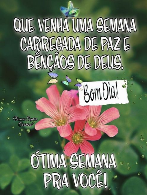 Meu ZapZap - Imagens Bom dia segunda-feira - Saudações para Whatsapp e Facebook Meu ZapZap - Imagens Bom dia segunda-feira - Saudações para Whatsapp e Facebook