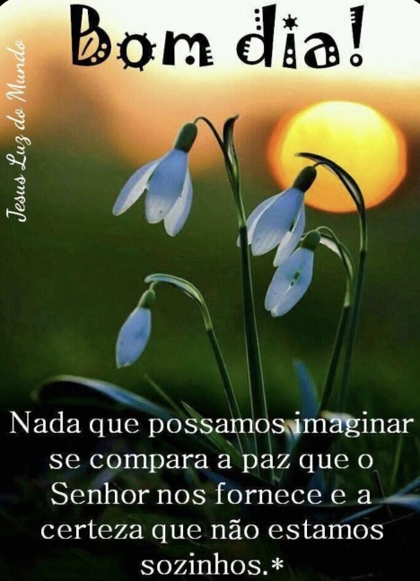 Meu ZapZap - Imagens Bom dia - Saudações para Whatsapp e Facebook Meu ZapZap - Imagens Bom dia - Saudações para Whatsapp e Facebook