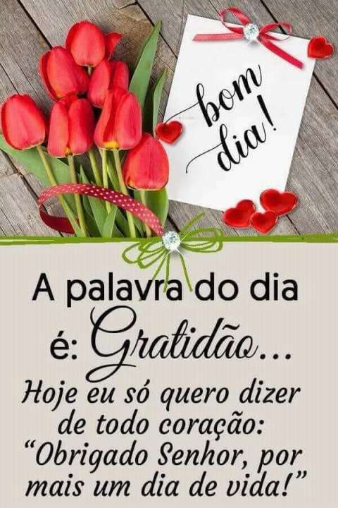 Meu ZapZap - Imagens Bom dia com gratidão - Saudações para Whatsapp e Facebook Meu ZapZap - Imagens Bom dia com gratidão - Saudações para Whatsapp e Facebook