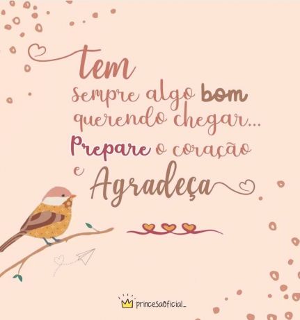 Meu ZapZap - Imagens Gratidão por tudo - Reflexão para Whatsapp e Facebook Meu ZapZap - Imagens Gratidão por tudo - Reflexão para Whatsapp e Facebook