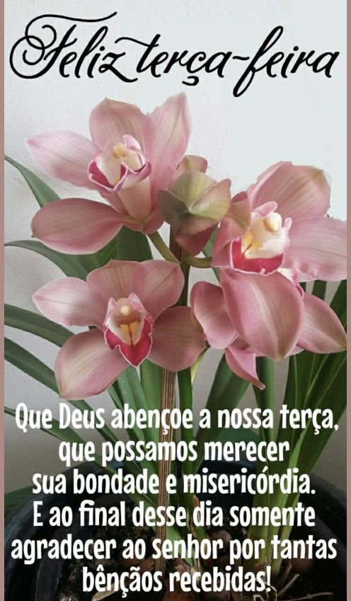 Meu ZapZap - Imagens Bom dia terça-feira - Saudações para Whatsapp e Facebook Meu ZapZap - Imagens Bom dia terça-feira - Saudações para Whatsapp e Facebook