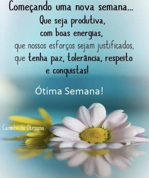 Meu ZapZap - Imagens Bom dia segunda-feira - Saudações para Whatsapp e Facebook Meu ZapZap - Imagens Bom dia segunda-feira - Saudações para Whatsapp e Facebook