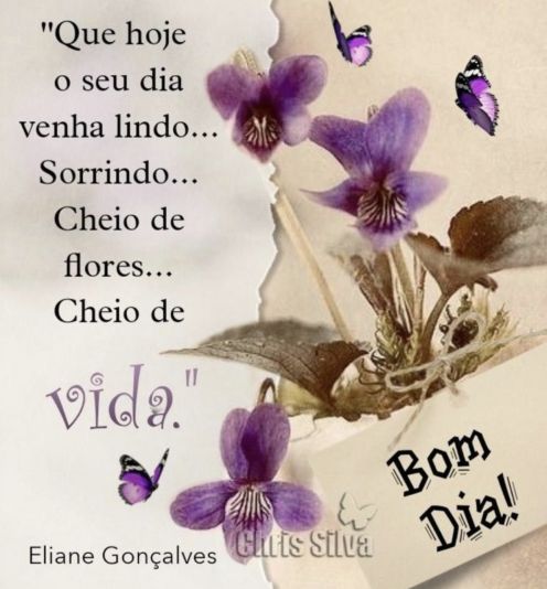 Meu ZapZap - Imagens Bom dia segunda-feira - Saudações para Whatsapp e Facebook Meu ZapZap - Imagens Bom dia segunda-feira - Saudações para Whatsapp e Facebook