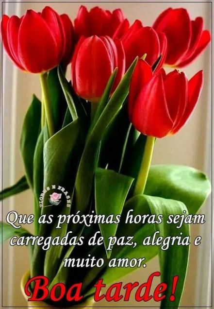 Meu ZapZap - Imagens Boa tarde - Saudações para Whatsapp e Facebook Meu ZapZap - Imagens Boa tarde - Saudações para Whatsapp e Facebook