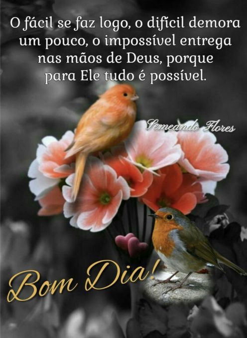 Meu ZapZap - Imagens Bom dia quarta-feira - Saudações para Whatsapp e Facebook Meu ZapZap - Imagens Bom dia quarta-feira - Saudações para Whatsapp e Facebook