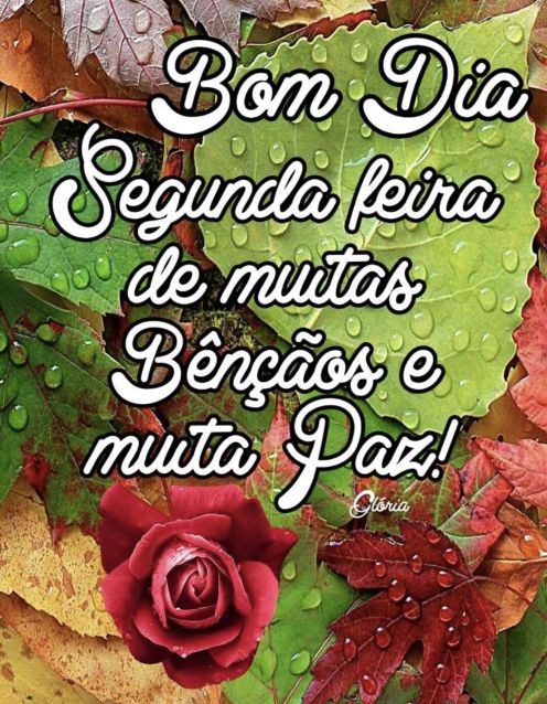 Meu ZapZap - Imagens Bom dia e ótima semana - Saudações para Whatsapp e Facebook Meu ZapZap - Imagens Bom dia e ótima semana - Saudações para Whatsapp e Facebook