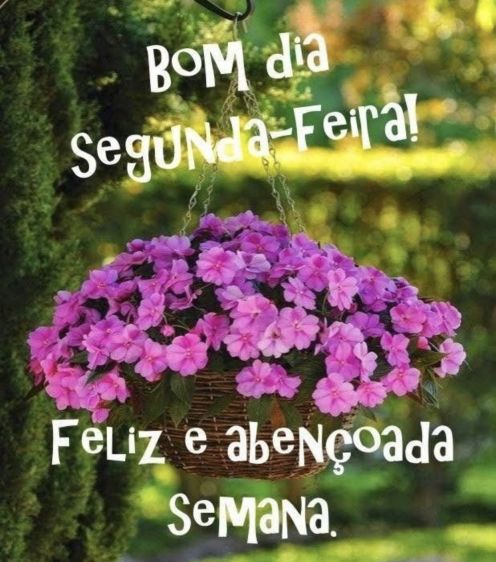 Meu ZapZap - Imagens Abençoada semana - Saudações para Whatsapp e Facebook Meu ZapZap - Imagens Abençoada semana - Saudações para Whatsapp e Facebook