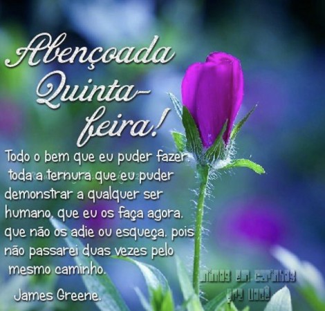 Meu ZapZap - Imagens Bom dia - Saudações para Whatsapp e Facebook Meu ZapZap - Imagens Bom dia - Saudações para Whatsapp e Facebook