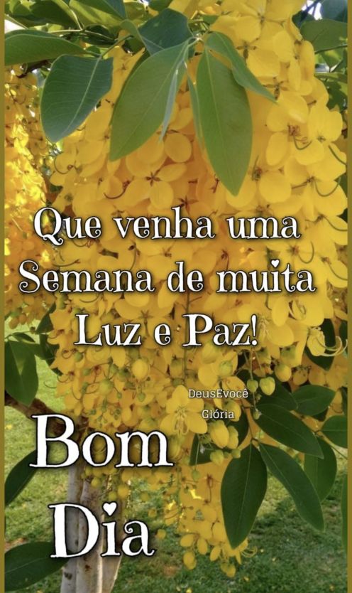 Meu ZapZap - Imagens Bom dia segunda-feira - Saudações para Whatsapp e Facebook Meu ZapZap - Imagens Bom dia segunda-feira - Saudações para Whatsapp e Facebook