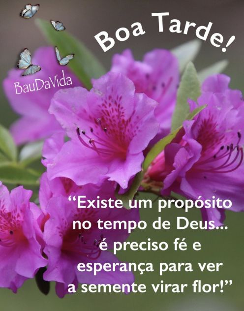 Meu ZapZap - Imagens Boa tarde sábado - Saudações para Whatsapp e Facebook Meu ZapZap - Imagens Boa tarde sábado - Saudações para Whatsapp e Facebook