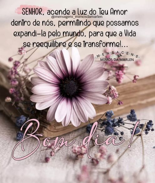 Meu ZapZap - Imagens Bom dia Domingo - Saudações para Whatsapp e Facebook Meu ZapZap - Imagens Bom dia Domingo - Saudações para Whatsapp e Facebook