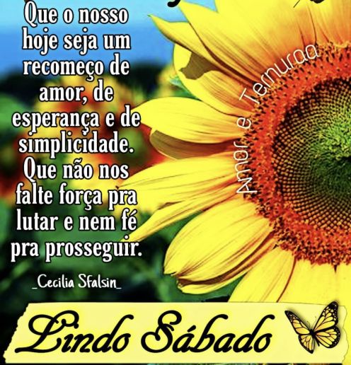 Meu ZapZap - Imagens Boa tarde sábado - Saudações para Whatsapp e Facebook Meu ZapZap - Imagens Boa tarde sábado - Saudações para Whatsapp e Facebook