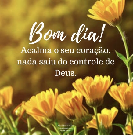 Meu ZapZap - Imagens Bom dia - Saudações para Whatsapp e Facebook Meu ZapZap - Imagens Bom dia - Saudações para Whatsapp e Facebook