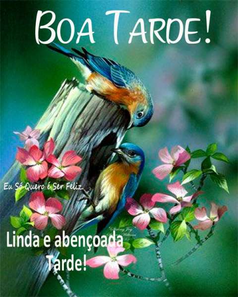 Meu ZapZap - Imagens Boa tarde - Saudações para Whatsapp e Facebook Meu ZapZap - Imagens Boa tarde - Saudações para Whatsapp e Facebook