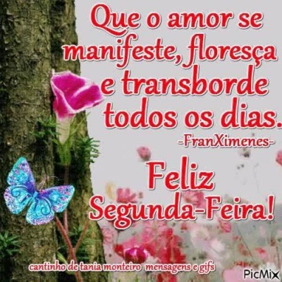 Meu ZapZap - Imagens Bom dia - Saudações para Whatsapp e Facebook Meu ZapZap - Imagens Bom dia - Saudações para Whatsapp e Facebook