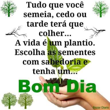 Meu ZapZap - Imagens Bom dia - Saudações para Whatsapp e Facebook Meu ZapZap - Imagens Bom dia - Saudações para Whatsapp e Facebook