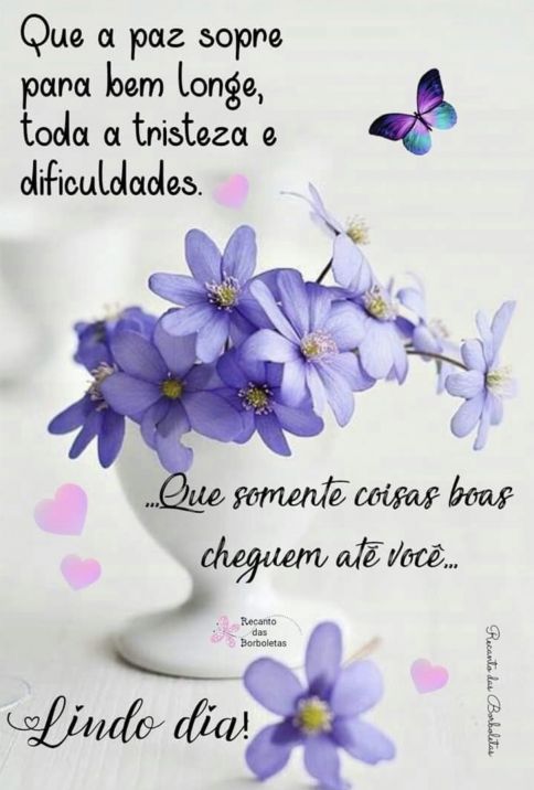 Meu ZapZap - Imagens Bom dia - Saudações para Whatsapp e Facebook Meu ZapZap - Imagens Bom dia - Saudações para Whatsapp e Facebook