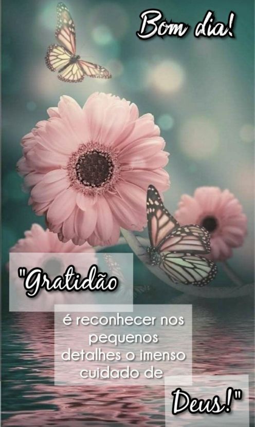 Meu ZapZap - Imagens Um bom dia com gratidão - Saudações para Whatsapp e Facebook Meu ZapZap - Imagens Um bom dia com gratidão - Saudações para Whatsapp e Facebook
