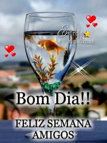 Meu ZapZap - Imagens Boa semana - Saudações para Whatsapp e Facebook Meu ZapZap - Imagens Boa semana - Saudações para Whatsapp e Facebook