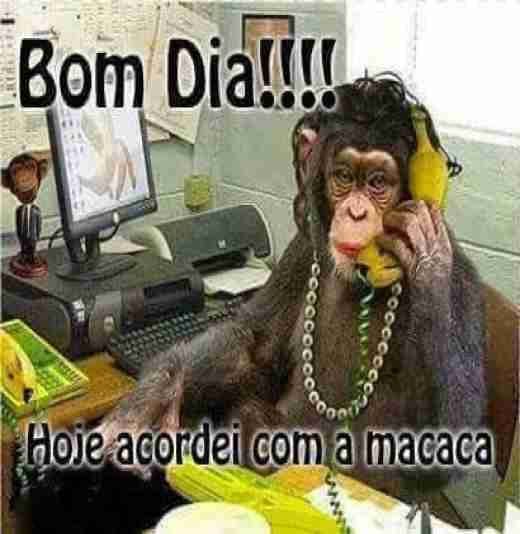 Meu ZapZap - Imagens Bom dia - Saudações para Whatsapp e Facebook Meu ZapZap - Imagens Bom dia - Saudações para Whatsapp e Facebook