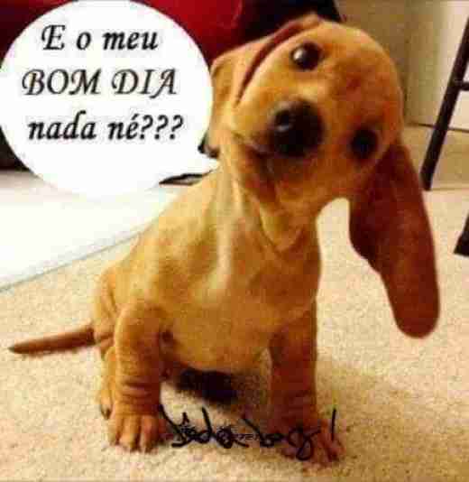 Meu ZapZap - Imagens Bom dia - Saudações para Whatsapp e Facebook Meu ZapZap - Imagens Bom dia - Saudações para Whatsapp e Facebook