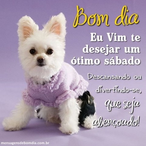 Meu ZapZap - Imagens Bom dia - Saudações para Whatsapp e Facebook Meu ZapZap - Imagens Bom dia - Saudações para Whatsapp e Facebook