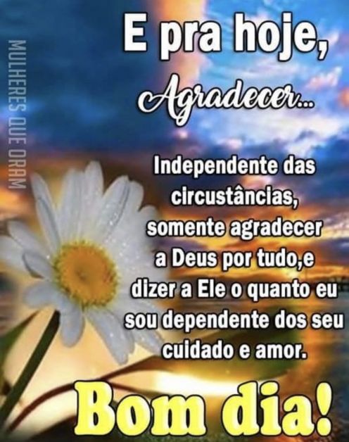 Meu ZapZap - Imagens Agradeça por hoje - Saudações para Whatsapp e Facebook Meu ZapZap - Imagens Agradeça por hoje - Saudações para Whatsapp e Facebook