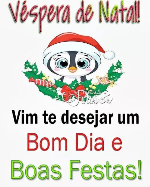 Meu ZapZap - Imagens Véspera de Natal - Religiosas para Whatsapp e Facebook Meu ZapZap - Imagens Véspera de Natal - Religiosas para Whatsapp e Facebook