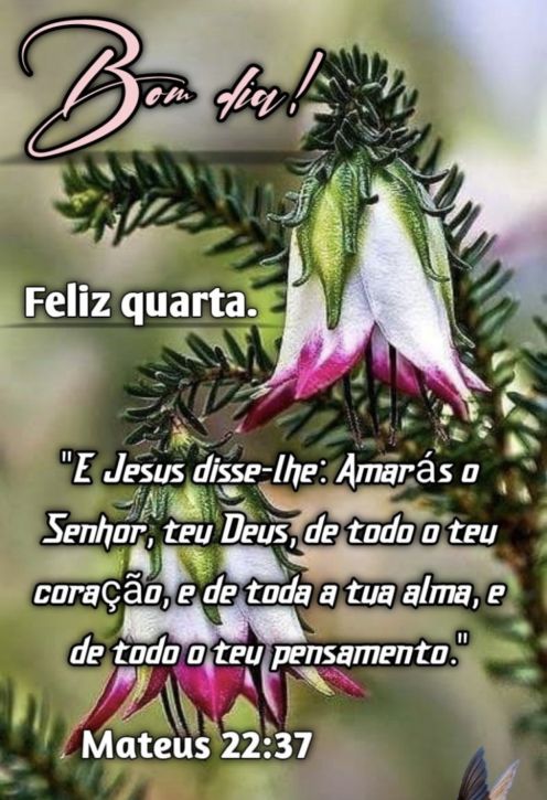 Meu ZapZap - Imagens Bom dia quarta-feira - Saudações para Whatsapp e Facebook Meu ZapZap - Imagens Bom dia quarta-feira - Saudações para Whatsapp e Facebook