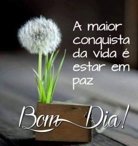 Meu ZapZap - Imagens Bom dia - Saudações para Whatsapp e Facebook Meu ZapZap - Imagens Bom dia - Saudações para Whatsapp e Facebook