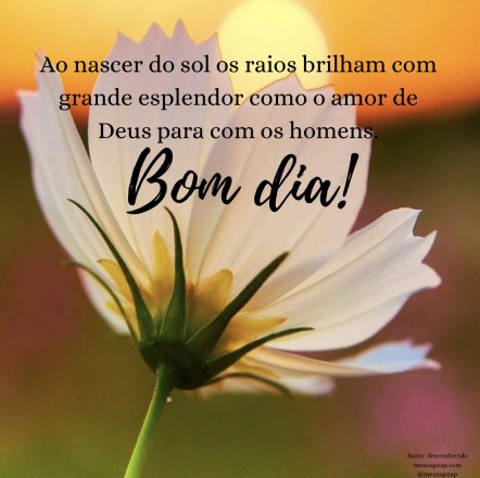 Meu ZapZap - Imagens Bom dia - Engraçadas para Whatsapp e Facebook Meu ZapZap - Imagens Bom dia - Engraçadas para Whatsapp e Facebook