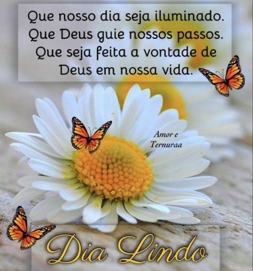 Meu ZapZap - Imagens Bom dia - Saudações para Whatsapp e Facebook Meu ZapZap - Imagens Bom dia - Saudações para Whatsapp e Facebook