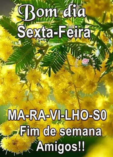 Meu ZapZap - Imagens Bom dia sexta-feira - Saudações para Whatsapp e Facebook Meu ZapZap - Imagens Bom dia sexta-feira - Saudações para Whatsapp e Facebook