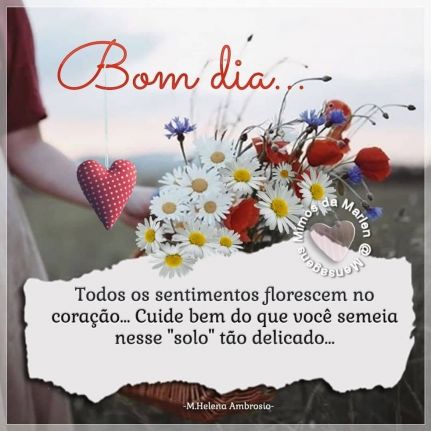 Meu ZapZap - Imagens Bom dia - Saudações para Whatsapp e Facebook Meu ZapZap - Imagens Bom dia - Saudações para Whatsapp e Facebook